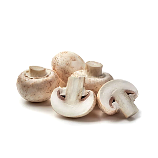 Champignon de Paris 