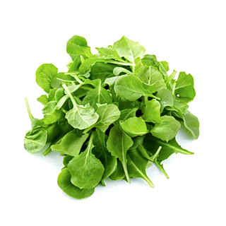 Salade Mâche 