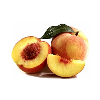 Pêche 